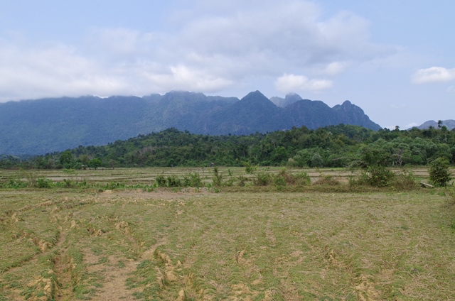 Riziere Laos