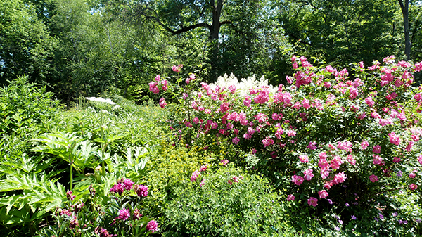 Le Domaine Joly de Lotbinière ravira les amateurs d'horticulture - Québec