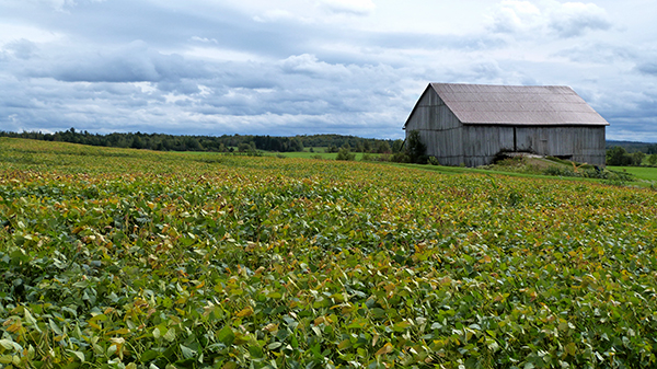 Paysages agricoles de la région de Chaudière-Appalaches - Québec