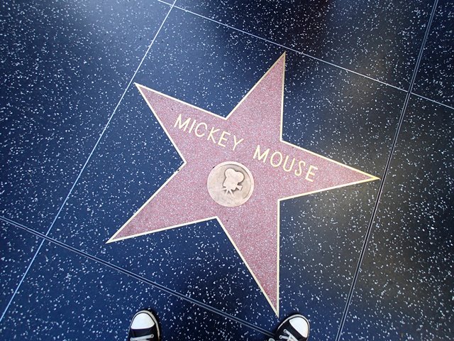 Hollywood Bouvelard
