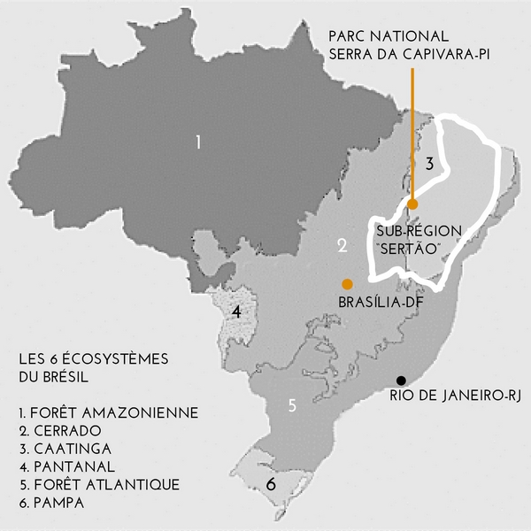 Les 6 écosystèmes du Brésil © Jatobá Design