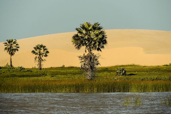Les paysages très particuliers du littoral du Piauí ©Felipe Mendes