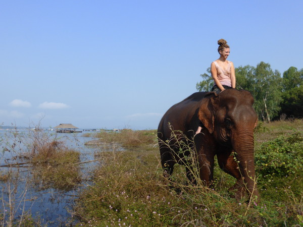 elephant-WhyNotTDM-blog-bar-a-voyages
