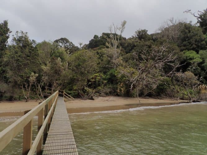 Passerelle sur la Rakiura track à Lee Bay